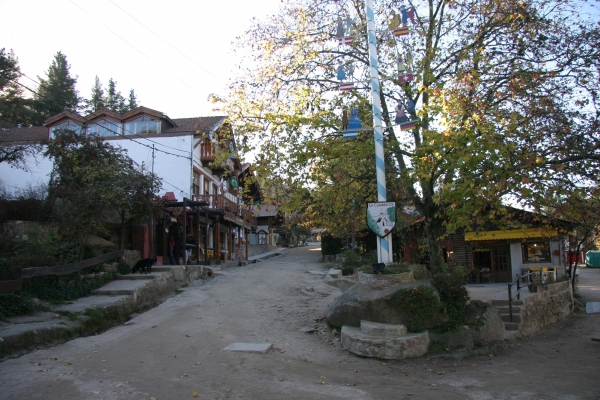 CRW_8350