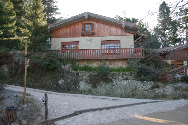 CRW_8353