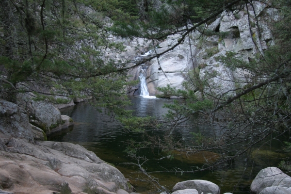 CRW_8394