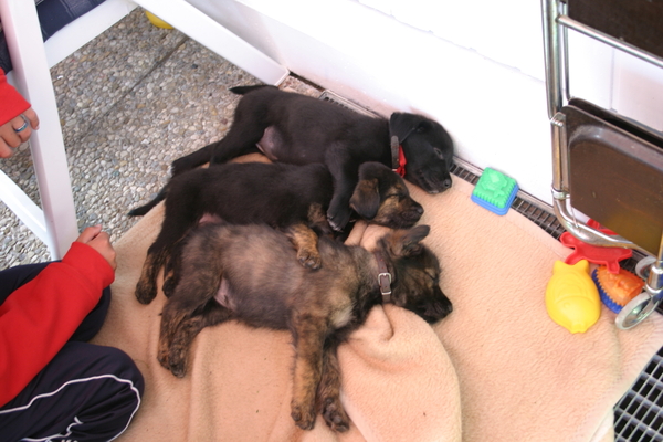 Two Boys and one Girl