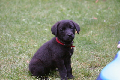 Baby Nisha