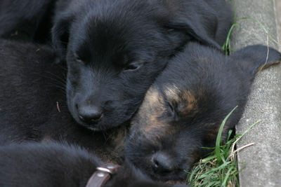 Nisha und Charlie