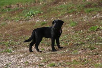 CRW_3350_RJ