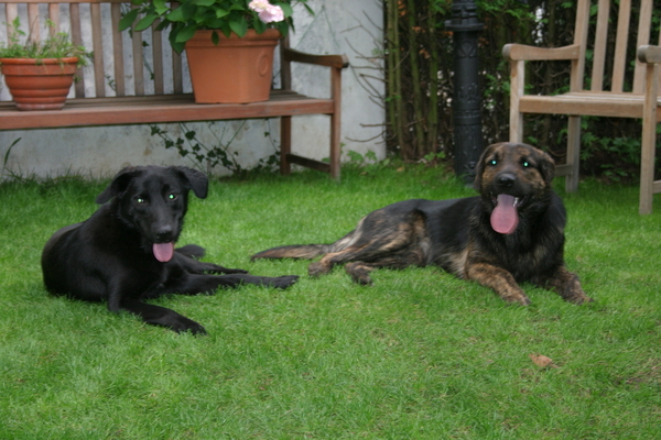 Nisha und Charlie - Erster Geburtstag